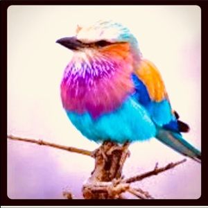 25% Off 💝 2 & MORE ITEMS & ONLY 1 SHIPPING FEE ON BUNDLES💕of 5.95 
💕💕💕💕💕💕💕💕💕💕